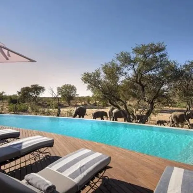 Infinity pool with elephants at The Private House